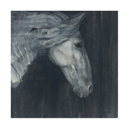 Albena Hristova 'Midnight Horse' Canvas Art,24x24